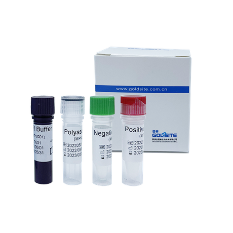 Monkeypox Virus(MPXV) PCR Kit