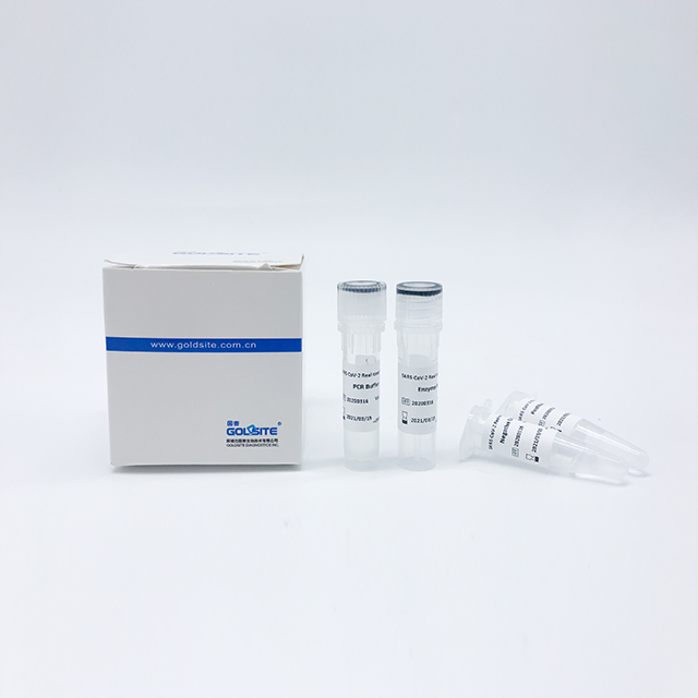  SARS-CoV RT-PCR Kit